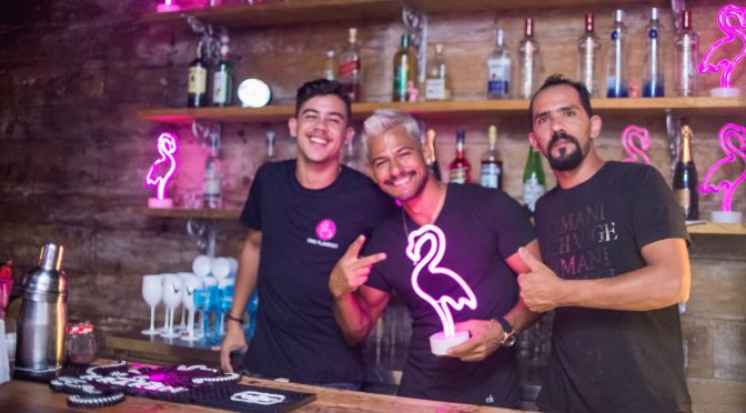 Pink Flamingo - Gay Bar & Club - Rio de Janeiro LGBT
